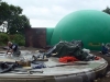 baloon-1wb
