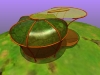concept dome design