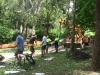 onsite-treeoflife-1-wb